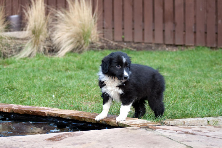 Gilbert, 9 weeks